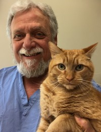 Dr. John Grillo - owner and veterinarian-Newbury Animal Hospital - Newbury, MA